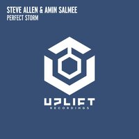 Perfect Storm - Steve Allen & Amin Salmee