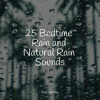 Birds in the Night - Calming Sounds & Alpha Waves & Childrens Music