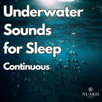 Underwater Sound for Sleep, Pt. 26 (Continuous No Gaps) - Water Soundscapes & White Noise Radiance