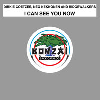 I Can See You Now - Dirkie Coetzee & Neo Kekkonen & Ridgewalkers