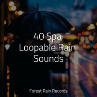 Lake, Water Lapping, Light - Relaxing Mindfulness Meditation Relaxation Maestro & Classical Lullabies & Saludo al Sol Sonido Relajante