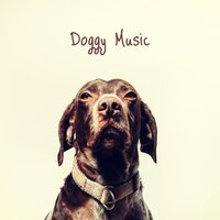 Healing - Dog Music & Music for Dog's Ears & Animal and Bird Songs