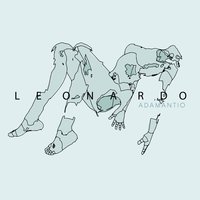 Hawk - Leonardo