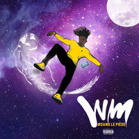 Shnek - WM