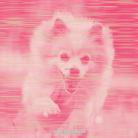Fiery Music for Calming Your Pup - Jazz for Dogs Collections