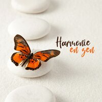 Sommeil profond - Oasis des Bruits Naturels