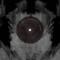 Bird - Cazuma & Andreas