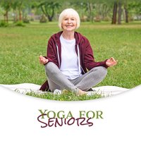 New Lifestyle - Namaste Yoga Collection