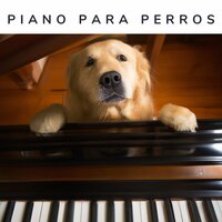 Piano Perros - Piano for Dogs
