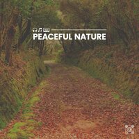 Sleeping in Nature Camping Melodies, Pt. 7 - Essential Nature Sounds