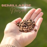 El Aire de la Libertad - Canciones de frecuencia & Interestelar