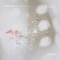 Divisio spiralis (2019) for string Quartet: VII - Christopher Otto & Jack Quartet & Austin Wulliman & John Pickford Richards & Jay Campbell