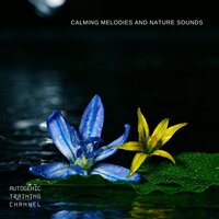 A Secret Garden (Flute) - Autogenic Training Channel