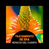 Refresca tu Mente - Calmante Zona de Spa