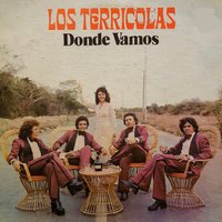 Esta Noche No Hablemos de Amor - Los Terricolas