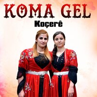 Ya Cane Ya Xeçxeye - Koma Gel