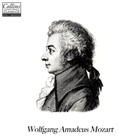 Concerto No. 1 for Flute and Orchestra in G Major, K. 313: II. Adagio non troppo - Tamás Vásáry & Philharmonia Orchestra & Вольфганг Амадей Моцарт