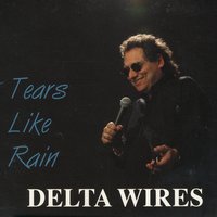 Honey Bee - Delta Wires