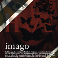 No Image - Haze
