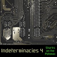 Dividet - Sharks on the Potomac