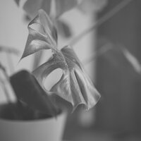 Modish Backdrops for Mental Health - Saturday Morning Music Background Music