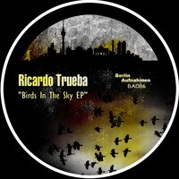 Enjoy The Nigth - Ricardo Trueba
