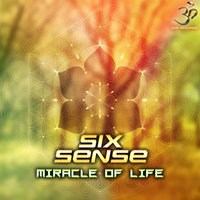 Fire Wire - Sixsense & Alternate Side