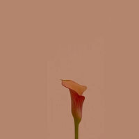 冬说 - 轻松音乐