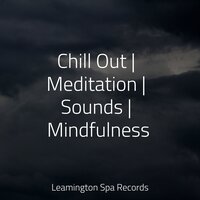 Sleep Music - Shakuhachi Sakano & Tinnitus Aid & Music to Relax in Free Time