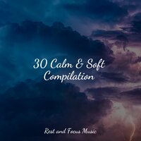 Asleep - White Noise Sound Garden & Meditação Yoga & Baby Sweet Dream