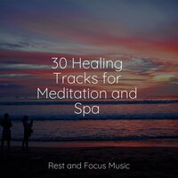 The Rhythm of Life - Life Sounds Nature & Yoga Soul & Ambientalism