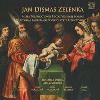 Missa purificationis beatae virginis Mariae, ZWV16: Benedictus - Adam Viktora & Inegal Ensemble & Tomáš Král & Petra Noskaiová & Gabriela Eibenová & Ян Дисмас Зеленка