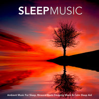 Ambient Music For Relaxation - Sleeping Music
