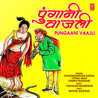 Saadi Neswa Navardevala - Vitthal Umap