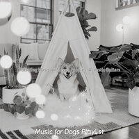 Background for Walking the Dog - Music for Dogs Playlist