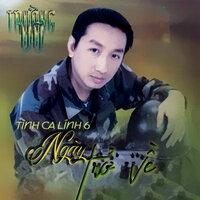 Ngày trở về - Trường Vũ