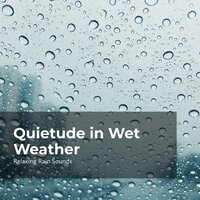 Falling Rain Relaxation - Relaxing Rain Sounds & Rain Drops for Sleep & Rain for Sleep