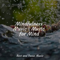 Air and Feathers - Natureza Musica Bem-Estar Academia & Sleeping Music & Baby Sweet Dream