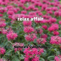 word home - Nature's Symphony