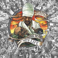 Black Seeds - Perfect & Irievibrations