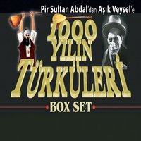Bir Bulut Kaynıyor - Mehmet Erenler
