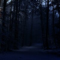 The Long Winter - Erick McNerney