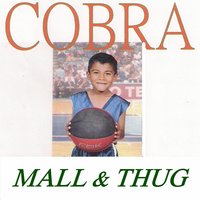 Unapprehendable - Cobra