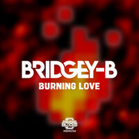 Burning Love - Bridgey-B