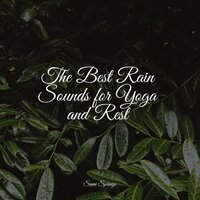 Rain, Thunder, Evening - Nature Music Pregnancy Academy & Happy Baby Lullaby Collection & Mother Earth Sounds