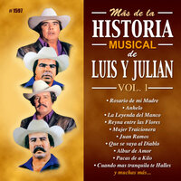 Cuando Mas Tranquila Te Halles - Luis Y Julian