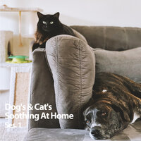 Sleep Music For Pets - Music For Pets & Pets & Dogs
