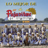 Ando Que Me Lleva el Diablo - Los Pajaritos De Tacupa