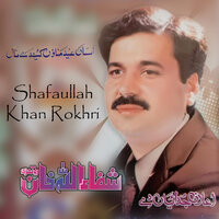 Ghar Baar Driver Lookaan De - Shafaullah Khan Rokhri