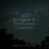 Whisper to Me - Meditacao Clube & Sleep Meditation Dream Catcher & Trouble Sleeping Music Universe